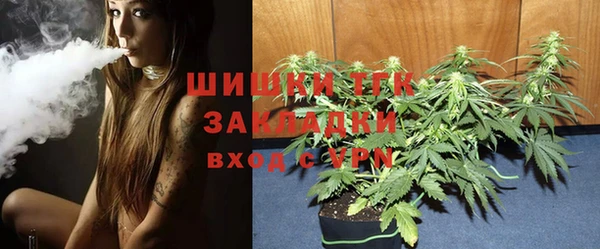 шишки Богданович