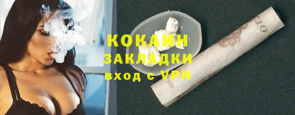 шишки Богданович