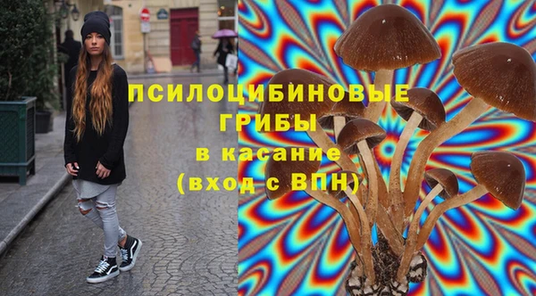 шишки Богданович