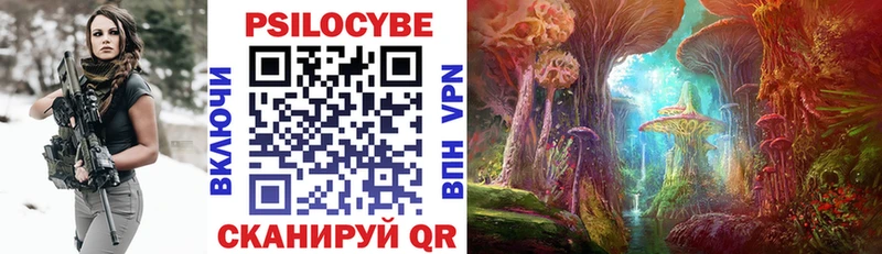 Галлюциногенные грибы GOLDEN TEACHER  Купить  Камешково 